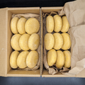 Tangie Citrus Shampoo Bar